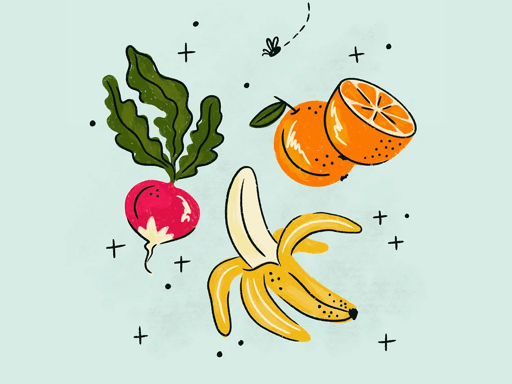 Food-vector-12 fruits illustration