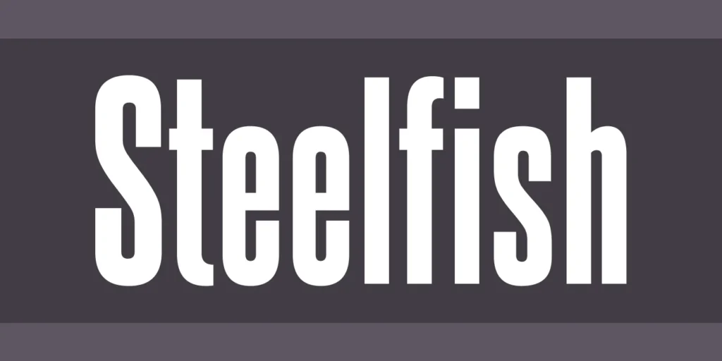 best modern website fonts