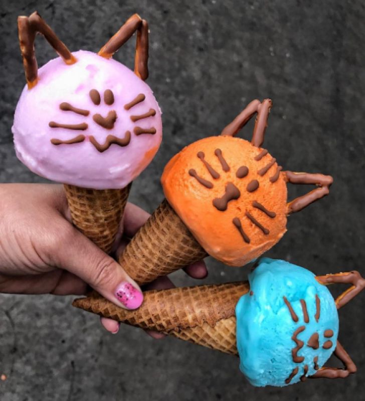 cat ice cream shapes - animal ice creams
