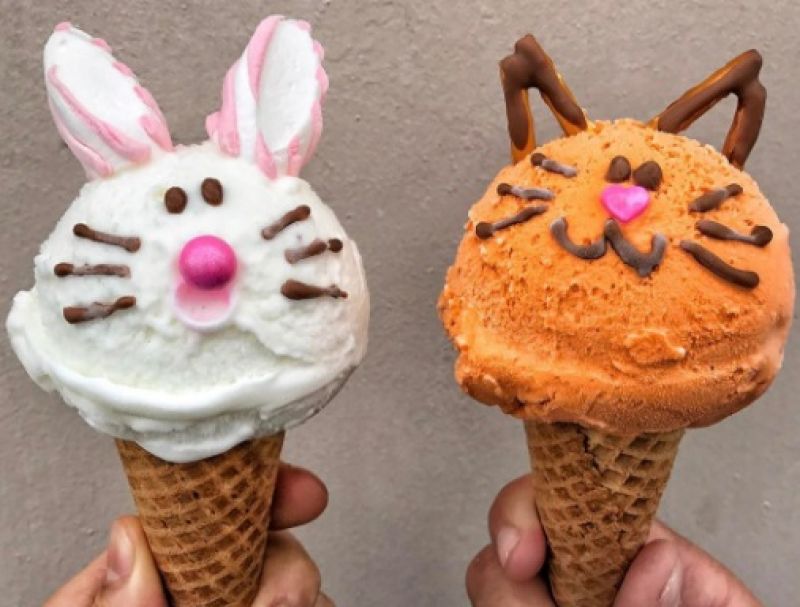 cat & bunny ice cream shapes