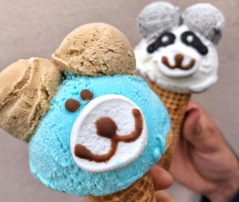 bear ice cream