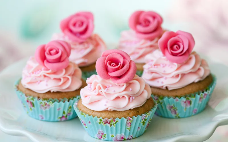 OLYMPUS DIGITAL CAMERA pretty pink cupcake design