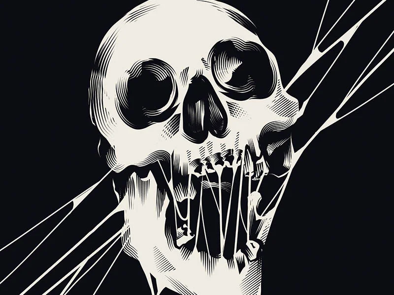skull illustrations