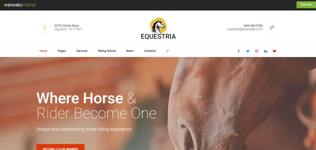 unusual wordpress themes