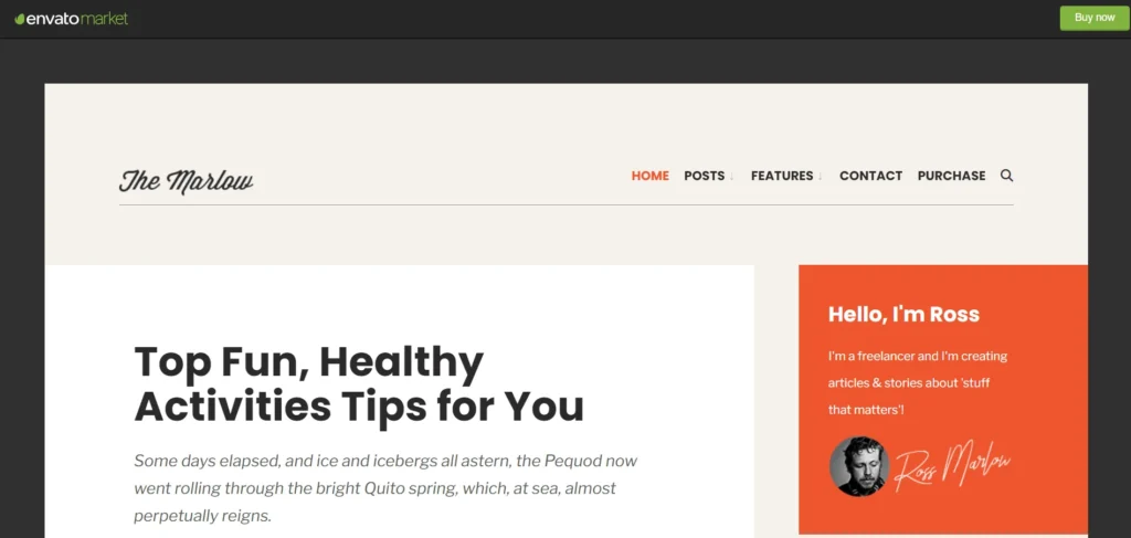 unusual wordpress themes