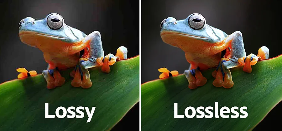 an image showing lossy and lossless compression