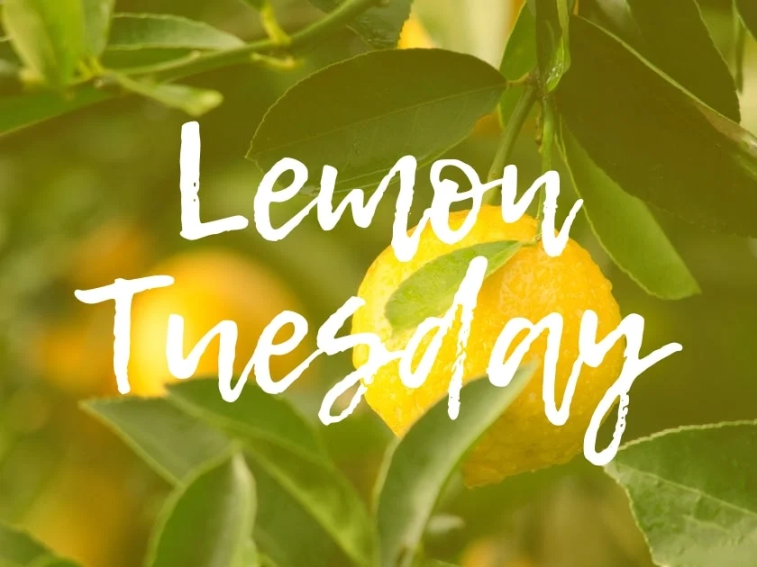 lemon tuesday font, trendy canva fonts, cute font in canva, cute font canva, cute fonts for canva, Best Handwriting Font Canva