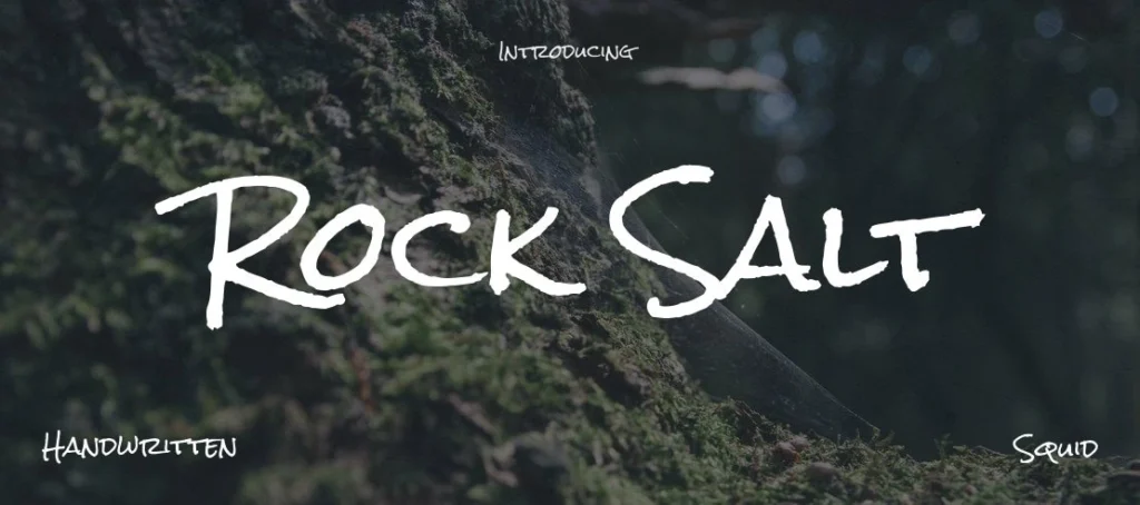 rock salt font, retro font, vintage fonts, dreamy font , cute font in canva, cute font for canva, soft font