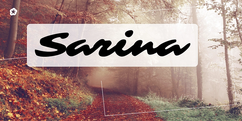 sarina font, trendy canva fonts, aesthetic fonts on canva, cute fonts for canva, cute font on canva, Best Handwriting Font Canva