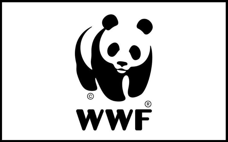 panda, cute panda logo, graphic design , logo designers, creative logos , negative space